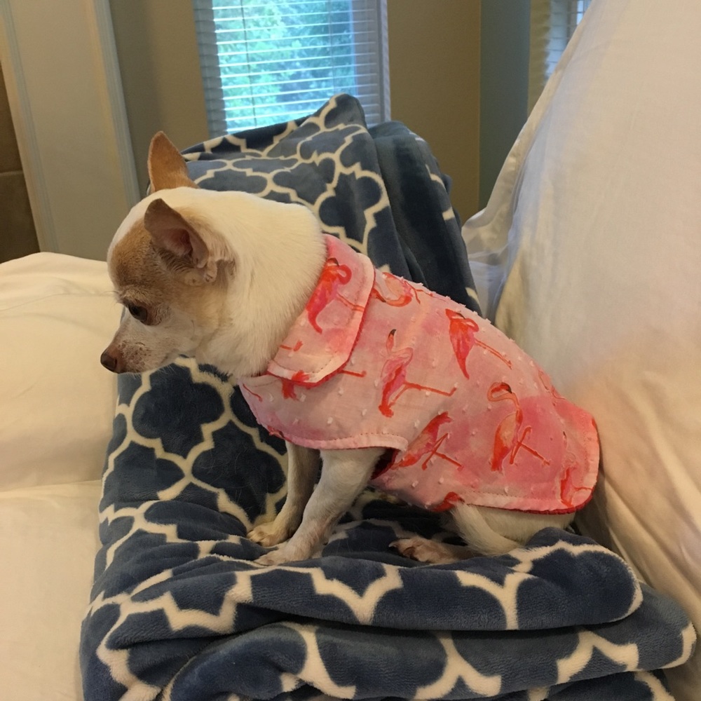 Reversible flamingo print dog jacket 💕